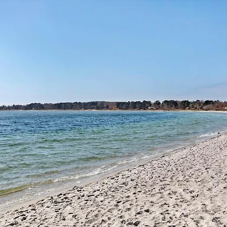Hébergement de vacances 10041-1-rorvig-langesovej-2 Rørvig